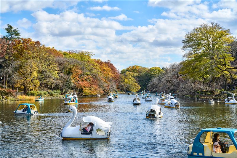 井之頭恩賜公園的紅葉美景,橫跨東京都武藏野市與三鷹市交界,位於被譽為「東京後花園」的多摩地區。(圖/公益財團法人 東京觀光財團ⒸTCVB提供)