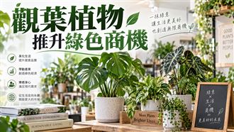 綠色商機！日本觀葉植物暴紅　催生回收潮