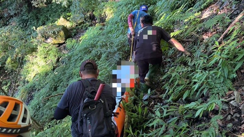 疑颱風天上山採藥　苗栗男倒樹林氣絕身亡