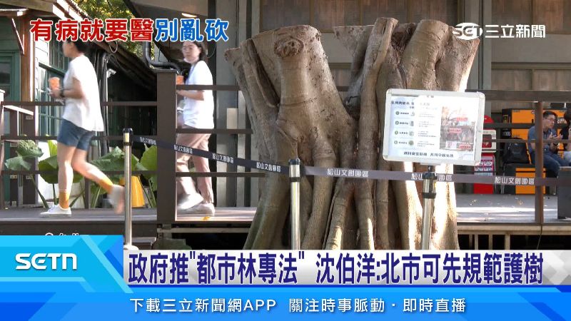 草案中表明，將會把樹視為基礎建設與生命來管理