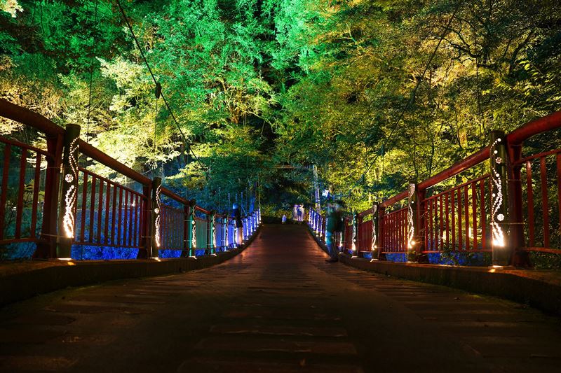 菊池溪谷限定點燈活動展現夜間夢幻秋色。圖片來源菊池溪谷。（圖／熊本縣菊池觀光協會提供）