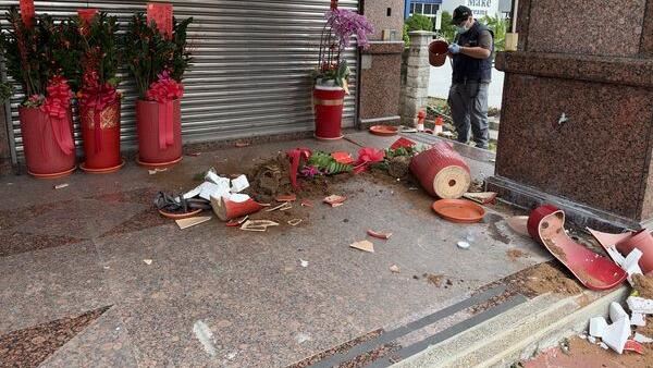 競選總部10盆栽全被踹毀！苗栗酒空男遭逮