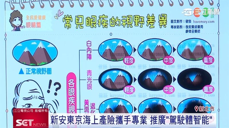 新安東京海上產險攜手專業 推廣「駕駛體智能」提高長輩交通安全意識。(圖/業者提供)