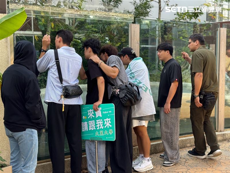 學生在導覽人員引導下,仔細尋找展區內的動物,透過主動探索與觀察,增添學習的參與感。(圖/頑皮世界提供)