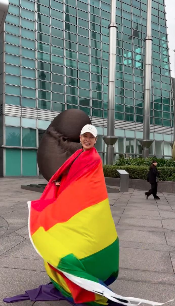 賈永婕深夜收到彩虹旗並成功送進台北101。(圖/翻攝自IG @janet_chia_)