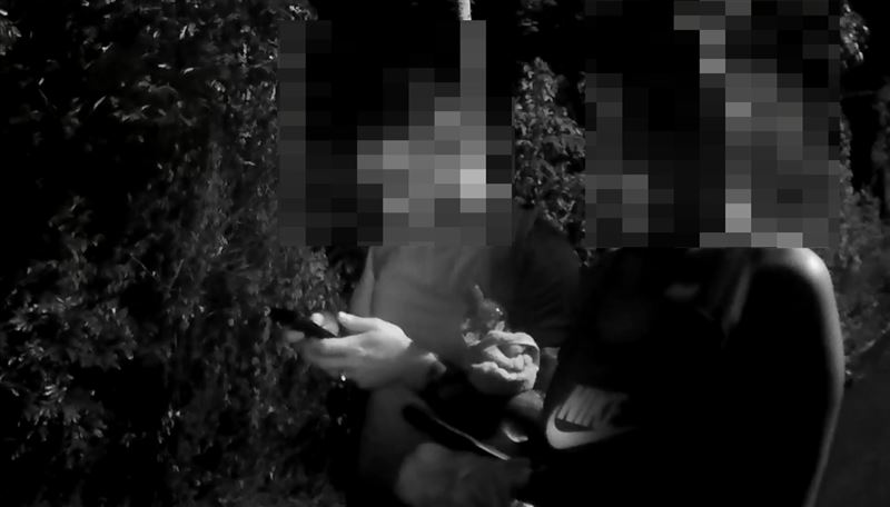 盧女與法國籍友人下山時遇上多隻犬隻出沒，讓2人嚇到不敢移動。（圖／翻攝畫面）
